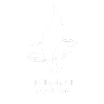 اللوجو بالللون الابيض 2
